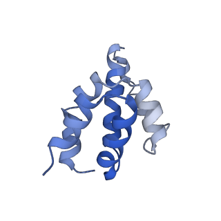 2870_3j9k_H_v1-2
Structure of Dark apoptosome in complex with Dronc CARD domain