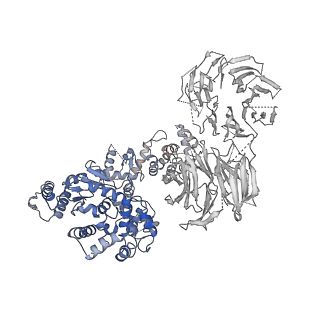 2870_3j9k_I_v1-1
Structure of Dark apoptosome in complex with Dronc CARD domain