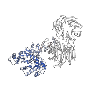 2870_3j9k_I_v1-2
Structure of Dark apoptosome in complex with Dronc CARD domain