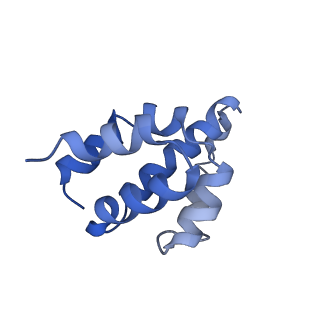 2870_3j9k_J_v1-2
Structure of Dark apoptosome in complex with Dronc CARD domain