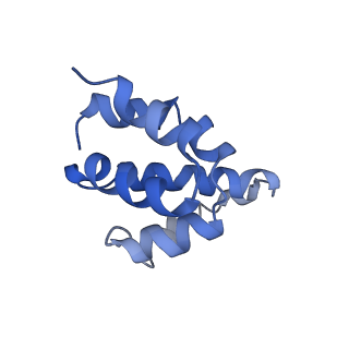 2870_3j9k_L_v1-1
Structure of Dark apoptosome in complex with Dronc CARD domain