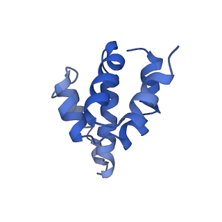 2870_3j9k_P_v1-2
Structure of Dark apoptosome in complex with Dronc CARD domain