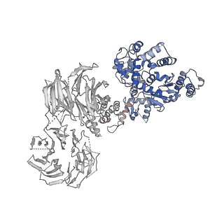 2870_3j9k_Q_v1-1
Structure of Dark apoptosome in complex with Dronc CARD domain