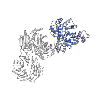 2870_3j9k_Q_v1-2
Structure of Dark apoptosome in complex with Dronc CARD domain