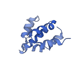 2870_3j9k_R_v1-1
Structure of Dark apoptosome in complex with Dronc CARD domain