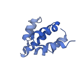 2870_3j9k_R_v1-2
Structure of Dark apoptosome in complex with Dronc CARD domain