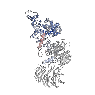 2870_3j9k_S_v1-1
Structure of Dark apoptosome in complex with Dronc CARD domain