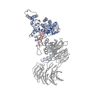 2870_3j9k_S_v1-2
Structure of Dark apoptosome in complex with Dronc CARD domain