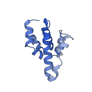 2870_3j9k_T_v1-1
Structure of Dark apoptosome in complex with Dronc CARD domain
