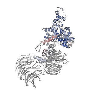 2870_3j9k_U_v1-1
Structure of Dark apoptosome in complex with Dronc CARD domain
