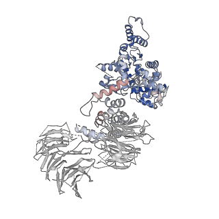 2870_3j9k_U_v1-2
Structure of Dark apoptosome in complex with Dronc CARD domain