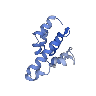 2870_3j9k_V_v1-1
Structure of Dark apoptosome in complex with Dronc CARD domain