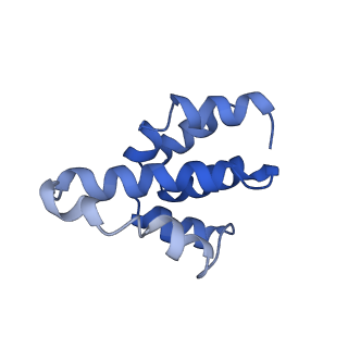 2870_3j9k_X_v1-1
Structure of Dark apoptosome in complex with Dronc CARD domain