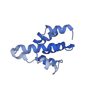 2870_3j9k_X_v1-2
Structure of Dark apoptosome in complex with Dronc CARD domain