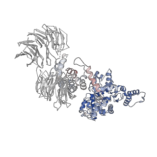 2870_3j9k_Y_v1-2
Structure of Dark apoptosome in complex with Dronc CARD domain