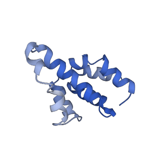 2870_3j9k_Z_v1-2
Structure of Dark apoptosome in complex with Dronc CARD domain