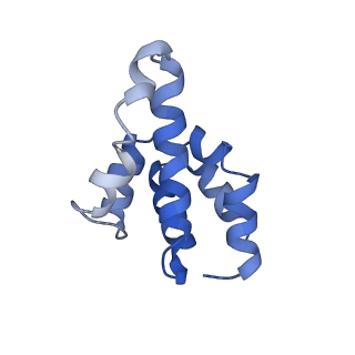 2870_3j9k_b_v1-2
Structure of Dark apoptosome in complex with Dronc CARD domain