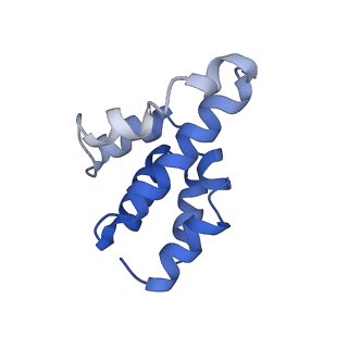 2870_3j9k_d_v1-1
Structure of Dark apoptosome in complex with Dronc CARD domain