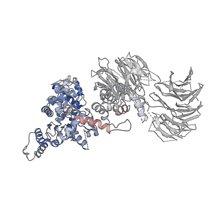 2870_3j9k_e_v1-2
Structure of Dark apoptosome in complex with Dronc CARD domain