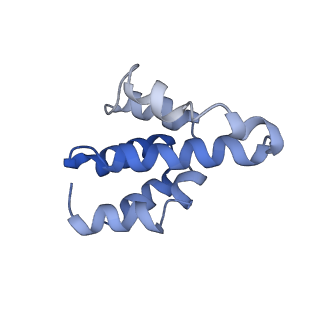 2870_3j9k_f_v1-1
Structure of Dark apoptosome in complex with Dronc CARD domain