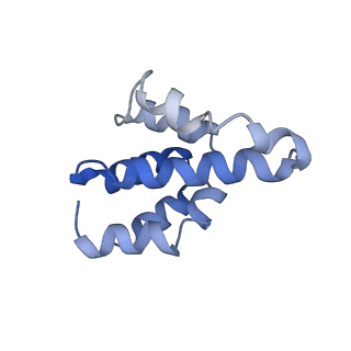 2870_3j9k_f_v1-2
Structure of Dark apoptosome in complex with Dronc CARD domain