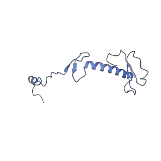 2876_3j9m_0_v1-1
Structure of the human mitochondrial ribosome (class 1)