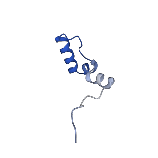 2876_3j9m_2_v1-1
Structure of the human mitochondrial ribosome (class 1)