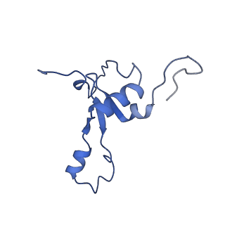 2876_3j9m_3_v1-1
Structure of the human mitochondrial ribosome (class 1)