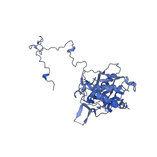 2876_3j9m_5_v1-1
Structure of the human mitochondrial ribosome (class 1)
