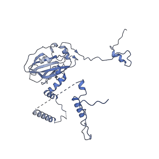 2876_3j9m_6_v1-1
Structure of the human mitochondrial ribosome (class 1)