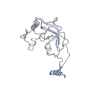 2876_3j9m_A0_v1-1
Structure of the human mitochondrial ribosome (class 1)