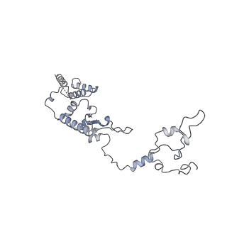 2876_3j9m_A1_v1-1
Structure of the human mitochondrial ribosome (class 1)