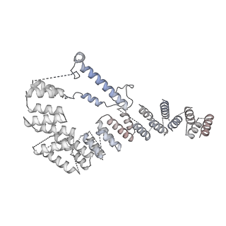 2876_3j9m_A4_v1-1
Structure of the human mitochondrial ribosome (class 1)