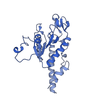 2876_3j9m_AB_v1-1
Structure of the human mitochondrial ribosome (class 1)