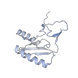 2876_3j9m_AC_v1-1
Structure of the human mitochondrial ribosome (class 1)