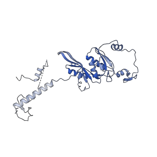 2876_3j9m_AD_v1-1
Structure of the human mitochondrial ribosome (class 1)