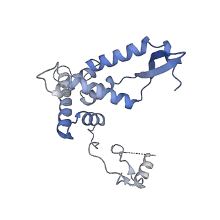2876_3j9m_AF_v1-1
Structure of the human mitochondrial ribosome (class 1)