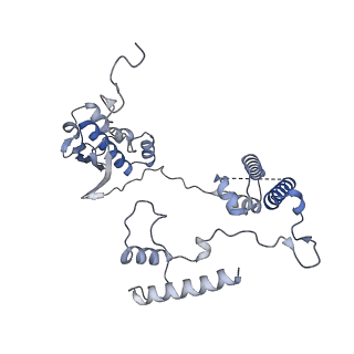 2876_3j9m_AG_v1-1
Structure of the human mitochondrial ribosome (class 1)