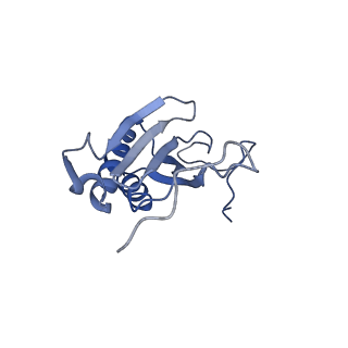 2876_3j9m_AI_v1-1
Structure of the human mitochondrial ribosome (class 1)