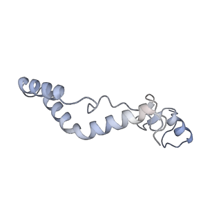 2876_3j9m_AK_v1-1
Structure of the human mitochondrial ribosome (class 1)