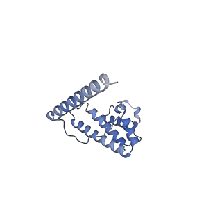 2876_3j9m_AL_v1-1
Structure of the human mitochondrial ribosome (class 1)