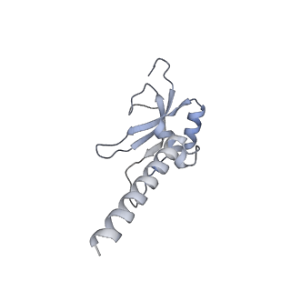2876_3j9m_AM_v1-1
Structure of the human mitochondrial ribosome (class 1)