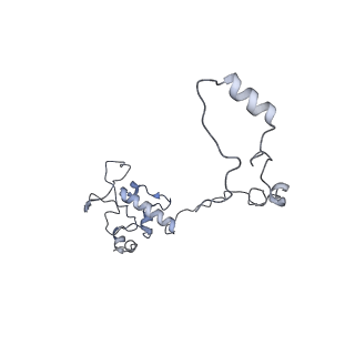 2876_3j9m_AO_v1-1
Structure of the human mitochondrial ribosome (class 1)