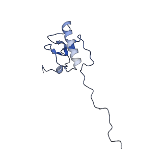 2876_3j9m_AP_v1-1
Structure of the human mitochondrial ribosome (class 1)