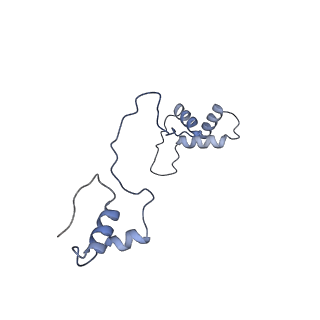 2876_3j9m_AS_v1-1
Structure of the human mitochondrial ribosome (class 1)