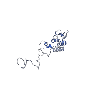 2876_3j9m_AT_v1-1
Structure of the human mitochondrial ribosome (class 1)