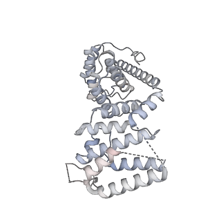 2876_3j9m_AV_v1-1
Structure of the human mitochondrial ribosome (class 1)