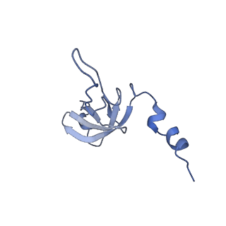 2876_3j9m_AW_v1-1
Structure of the human mitochondrial ribosome (class 1)