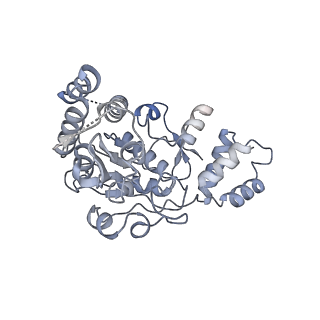 2876_3j9m_AX_v1-1
Structure of the human mitochondrial ribosome (class 1)