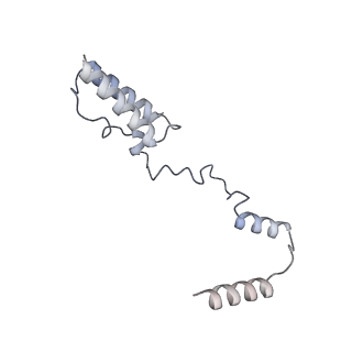2876_3j9m_AY_v1-1
Structure of the human mitochondrial ribosome (class 1)